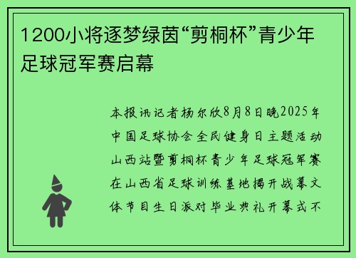 1200小将逐梦绿茵“剪桐杯”青少年足球冠军赛启幕